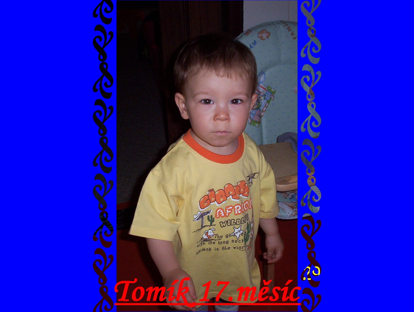 17.měsíc